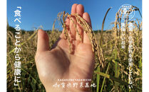 《令和8年産&nbsp;新米&nbsp;先行予約》「12ヶ月定期便」【お米グランプリ3部門受賞】＜有機JAS認証米＞日本一粒の大きいお米『いのちの壱』白米5kg×12回