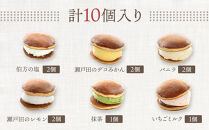 【9月発送】和・洋コラボのひんやりスイーツ！アイスなどら焼きギフト10個入り