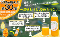 ［定期便&nbsp;毎月発送・全3回］&nbsp;下津蔵出しみかん&nbsp;ジュース&nbsp;500ml×3本&nbsp;まごころ産直みかんより直送&nbsp;果汁100%&nbsp;農園直送&nbsp;&nbsp;［2027年3月発送開始］