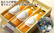 ［定期便&nbsp;毎月発送・全3回］&nbsp;下津蔵出しみかん&nbsp;ジュース&nbsp;500ml×3本&nbsp;まごころ産直みかんより直送&nbsp;果汁100%&nbsp;農園直送&nbsp;&nbsp;［2027年3月発送開始］