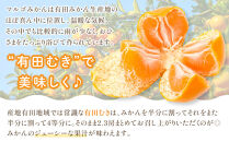 有田みかん&nbsp;4kg&nbsp;2Lサイズ&nbsp;光センサー使用&nbsp;高糖度