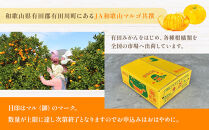 有田みかん&nbsp;4kg&nbsp;2Lサイズ&nbsp;光センサー使用&nbsp;高糖度