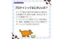 犬猫用ヨーグルト　プロテイン　30g　8個入り×2箱