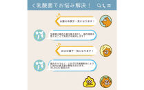 犬猫用ヨーグルト　プロテイン　30g　8個入り×2箱