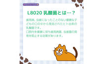 Ｌ８０２０　犬猫用ヨーグルト　30g　8個入り×2箱