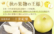 東商果樹園&nbsp;二十世紀梨(赤秀)3kg(８月下旬から発送）｜鳥取&nbsp;梨&nbsp;なし&nbsp;二十世紀梨&nbsp;期間限定&nbsp;送料無料&nbsp;鳥取県&nbsp;三朝町　20世紀梨&nbsp;フルーツ&nbsp;果物　くだもの　贈答品&nbsp;ギフト&nbsp;なし&nbsp;ナシ&nbsp;和梨　期間限定　季節限定　国産　直送　旬　秋　ヘルシー　ビタミン豊富　鳥取県産梨
