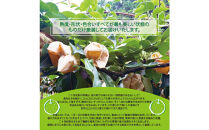 東商果樹園&nbsp;二十世紀梨(赤秀)5kg(８月下旬から発送）｜鳥取&nbsp;梨&nbsp;なし&nbsp;二十世紀梨&nbsp;期間限定&nbsp;送料無料&nbsp;鳥取県&nbsp;三朝町　20世紀梨&nbsp;フルーツ&nbsp;果物　くだもの　贈答品&nbsp;ギフト&nbsp;なし&nbsp;ナシ&nbsp;和梨　期間限定　季節限定　国産　直送　旬　秋　ヘルシー　ビタミン豊富　鳥取県産梨
