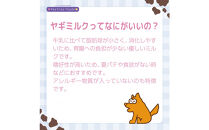 犬猫用ヤギミルクヨーグルト　30g　8個入り×2箱