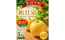 東商果樹園&nbsp;新甘泉(訳あり)5kg(８月下旬から発送）｜国産&nbsp;新甘泉&nbsp;梨&nbsp;国産梨&nbsp;国産新甘泉&nbsp;梨&nbsp;&nbsp;新甘泉&nbsp;鳥取県産新甘泉&nbsp;鳥取県産梨&nbsp;梨先行予約&nbsp;新甘泉先行予約&nbsp;新鮮&nbsp;旬&nbsp;フルーツ&nbsp;果物&nbsp;くだもの&nbsp;和梨&nbsp;新甘泉&nbsp;しんかんせん&nbsp;人気&nbsp;甘い&nbsp;三朝町　送料無料　わけあり　訳あり　家庭用おすすめ