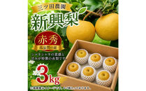三ツ田農園&nbsp;新興梨(赤秀)3kg(10月上旬から発送）｜鳥取県&nbsp;梨&nbsp;なし&nbsp;新興&nbsp;しんこう&nbsp;期間限定&nbsp;送料無料&nbsp;鳥取&nbsp;三朝町　旬　和梨　ナシ　果物フルーツ　くだもの　ギフト　国産　期間限定　季節限定&nbsp;産地直送　新鮮　新興梨　鳥取県産梨　フレッシュ　お取り寄せ　贈答品