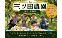三ツ田農園&nbsp;新興梨(赤秀)3kg(10月上旬から発送）｜鳥取県&nbsp;梨&nbsp;なし&nbsp;新興&nbsp;しんこう&nbsp;期間限定&nbsp;送料無料&nbsp;鳥取&nbsp;三朝町　旬　和梨　ナシ　果物フルーツ　くだもの　ギフト　国産　期間限定　季節限定&nbsp;産地直送　新鮮　新興梨　鳥取県産梨　フレッシュ　お取り寄せ　贈答品