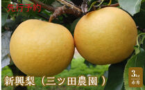 三ツ田農園&nbsp;新興梨(赤秀)3kg(10月上旬から発送）｜鳥取県&nbsp;梨&nbsp;なし&nbsp;新興&nbsp;しんこう&nbsp;期間限定&nbsp;送料無料&nbsp;鳥取&nbsp;三朝町　旬　和梨　ナシ　果物フルーツ　くだもの　ギフト　国産　期間限定　季節限定&nbsp;産地直送　新鮮　新興梨　鳥取県産梨　フレッシュ　お取り寄せ　贈答品