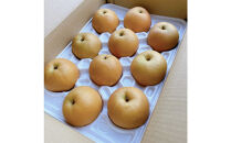 有梨の実石田&nbsp;新興梨(ギフト用)5kg(10月中旬から発送）｜鳥取県&nbsp;梨&nbsp;なし&nbsp;新興&nbsp;しんこう&nbsp;シンコウ　期間限定&nbsp;送料無料&nbsp;鳥取&nbsp;三朝町　旬　和梨　ナシ　果物フルーツ　くだもの　ギフト　国産　期間限定　季節限定&nbsp;産地直送　新鮮　新興梨　鳥取県産梨　フレッシュ　お取り寄せ　贈答品