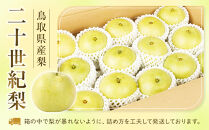 数量限定&nbsp;鳥取県産梨&nbsp;二十世紀梨&nbsp;3.5kg（10玉）