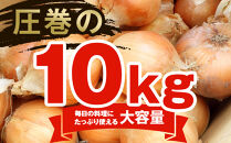 【先行予約】農家直送&nbsp;低農薬&nbsp;旭川産&nbsp;玉ねぎＬサイズ10kg(2026年9月発送開始予定)_06552