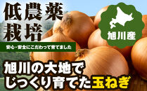 【先行予約】農家直送&nbsp;低農薬&nbsp;旭川産&nbsp;玉ねぎＬサイズ10kg(2026年9月発送開始予定)_06552