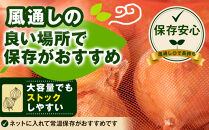 【先行予約】農家直送&nbsp;低農薬&nbsp;旭川産&nbsp;玉ねぎＬサイズ10kg(2026年9月発送開始予定)_06552