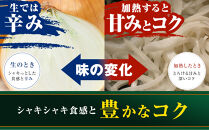 【先行予約】農家直送&nbsp;低農薬&nbsp;旭川産&nbsp;玉ねぎＬサイズ10kg(2026年9月発送開始予定)_06552