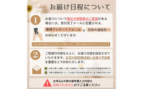 【定期便&nbsp;全104回&nbsp;毎週2回】「毎週2回」届く、旬の花束（104回／1年間）