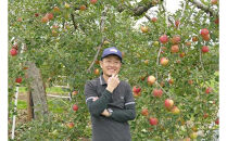 りんご&nbsp;秋映&nbsp;長野県大町市&nbsp;4.5kg&nbsp;(&nbsp;12個～18個&nbsp;)｜果物&nbsp;あきばえ&nbsp;北アルプス&nbsp;&nbsp;産地直送&nbsp;&nbsp;人気&nbsp;おすすめ&nbsp;フルーツ&nbsp;林檎&nbsp;信州産&nbsp;国産&nbsp;旬&nbsp;季節限定&nbsp;送料無料&nbsp;長野県&nbsp;大町市&nbsp;信州&nbsp;信濃&nbsp;ふるさと納税