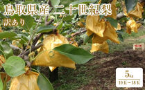 【2026年9月発送】訳あり&nbsp;鳥取県産&nbsp;二十世紀梨&nbsp;5kg&nbsp;(10玉～18玉)｜鳥取梨&nbsp;なし&nbsp;二十世紀梨&nbsp;期間限定&nbsp;送料無料&nbsp;鳥取県&nbsp;三朝町　20世紀梨&nbsp;フルーツ&nbsp;果物　くだもの　わけあり&nbsp;なし&nbsp;ナシ&nbsp;和梨　期間限定　季節限定　国産　直送　旬　秋　国産　ヘルシー　ビタミン豊富　鳥取県産梨　訳あり