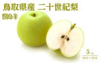 【2026年9月発送】訳あり&nbsp;鳥取県産&nbsp;二十世紀梨&nbsp;5kg&nbsp;(10玉～18玉)｜鳥取梨&nbsp;なし&nbsp;二十世紀梨&nbsp;期間限定&nbsp;送料無料&nbsp;鳥取県&nbsp;三朝町　20世紀梨&nbsp;フルーツ&nbsp;果物　くだもの　わけあり&nbsp;なし&nbsp;ナシ&nbsp;和梨　期間限定　季節限定　国産　直送　旬　秋　国産　ヘルシー　ビタミン豊富　鳥取県産梨　訳あり
