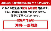 ［梅干・梅酒用］大玉4Lサイズ約10kg熟南高&nbsp;生梅&nbsp;＜2027年6月上旬～7月中旬発送予定＞［ART22］