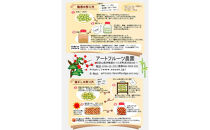 ［梅干・梅酒用］大玉4Lサイズ約10kg熟南高&nbsp;生梅&nbsp;＜2027年6月上旬～7月中旬発送予定＞［ART22］
