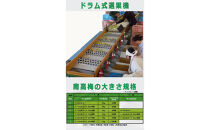 ［梅干・梅酒用］大玉4Lサイズ約10kg熟南高&nbsp;生梅&nbsp;＜2027年6月上旬～7月中旬発送予定＞［ART22］