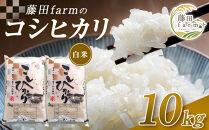 【先行予約受付】≪10月上旬発送≫令和８年産&nbsp;大田原市&nbsp;藤田farmのコシヒカリ【白米】10kg&nbsp;｜栃木県産&nbsp;米&nbsp;お米&nbsp;&nbsp;コメ&nbsp;こしひかり&nbsp;コシヒカリ&nbsp;栃木県&nbsp;【選べる容量】5kg&nbsp;10kg&nbsp;&nbsp;数量限定