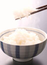 紀州のお米（未検査米）10kg（2026年産）［SL62］