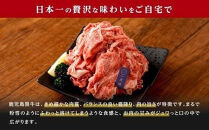 【チョイスメルマガ限定】鹿児島県産黒毛和牛切り落とし500g