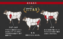 【チョイスメルマガ限定】鹿児島県産黒毛和牛切り落とし500g