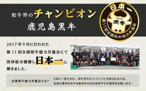 【チョイスメルマガ限定】鹿児島県産黒毛和牛　モモ・バラ&nbsp;すきやき用&nbsp;300g
