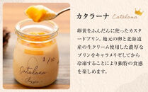 【チョイスメルマガ限定】シェフの魔法のアイスプリン　カタラーナ