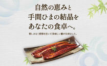 【チョイスメルマガ限定】鹿児島県産うなぎ長蒲焼2尾&nbsp;計320g以上