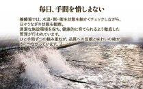 【チョイスメルマガ限定】鹿児島県産うなぎ長蒲焼2尾&nbsp;計320g以上