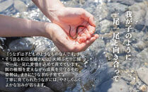 【チョイスメルマガ限定】鹿児島県産うなぎ長蒲焼2尾&nbsp;計320g以上