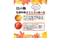 【先行予約】【鳥取市産・良品】花御所柿&nbsp;約5kg｜甘柿最高クラスの糖度&nbsp;追熟でとろける食感&nbsp;和製マンゴーとも称される希少ブランド柿