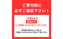 ≪宿泊のみ≫神戸市に泊まるふるさと納税旅行クーポン【9,000円分】