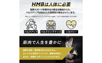 HMBサプリメント&nbsp;BALK&nbsp;HERO&nbsp;2袋（60日分）