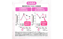睡眠サプリメント&nbsp;グッドネル&nbsp;機能性表示食品&nbsp;ラフマ&nbsp;GABA　3袋