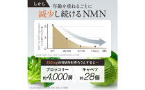 NMN&nbsp;サプリメント&nbsp;たっぷり贅沢NMN＆エクソソームプラセンタ&nbsp;6個