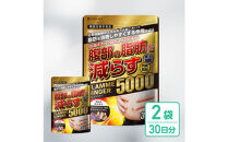 脂肪を消費しやすくする&nbsp;ブラックジンジャー&nbsp;サプリメント&nbsp;フラムジンジャー&nbsp;機能性表示食品&nbsp;2袋&nbsp;ダイエット&nbsp;カプサイシン&nbsp;カテキン&nbsp;L-カルニチン&nbsp;BCAA&nbsp;BMI&nbsp;脂肪&nbsp;内臓脂肪&nbsp;体重&nbsp;ウエスト