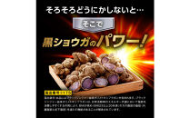 脂肪を消費しやすくする&nbsp;ブラックジンジャー&nbsp;サプリメント&nbsp;フラムジンジャー&nbsp;機能性表示食品&nbsp;2袋&nbsp;ダイエット&nbsp;カプサイシン&nbsp;カテキン&nbsp;L-カルニチン&nbsp;BCAA&nbsp;BMI&nbsp;脂肪&nbsp;内臓脂肪&nbsp;体重&nbsp;ウエスト