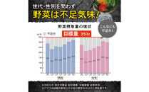 ベジーグッド　2袋（2ヶ月分）&nbsp;サプリメント&nbsp;サプリ&nbsp;健康食品&nbsp;健康管理&nbsp;国産野菜&nbsp;国産果実&nbsp;ビタミンA&nbsp;ビタミンB1&nbsp;ビタミンC&nbsp;ビタミンE&nbsp;マルチビタミン