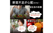 ベジーグッド　2袋（2ヶ月分）&nbsp;サプリメント&nbsp;サプリ&nbsp;健康食品&nbsp;健康管理&nbsp;国産野菜&nbsp;国産果実&nbsp;ビタミンA&nbsp;ビタミンB1&nbsp;ビタミンC&nbsp;ビタミンE&nbsp;マルチビタミン