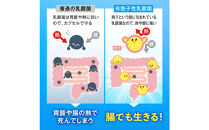 便通を改善する&nbsp;乳酸菌&nbsp;サプリメント&nbsp;ラクトデル&nbsp;機能性表示食品&nbsp;1袋（30日分）