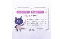 チェストツリー&nbsp;サプリメント&nbsp;ルミエル&nbsp;6袋&nbsp;女性特有のライフサイクルをサポートする栄養機能食品（鉄・葉酸）