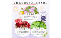 チェストツリー&nbsp;サプリメント&nbsp;ルミエル&nbsp;6袋&nbsp;女性特有のライフサイクルをサポートする栄養機能食品（鉄・葉酸）